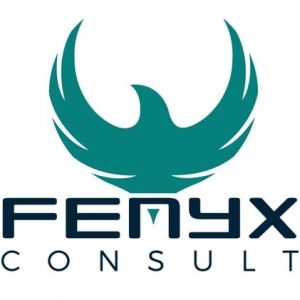 FENYX Consult