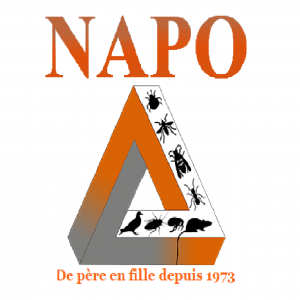 Napo paca services 