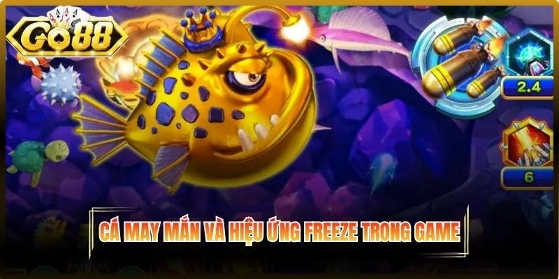 Cá may mắn và hiệu ứng Freeze
